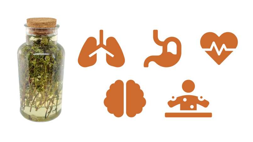 Tomillo macerado con miel